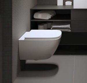 toilet cropped