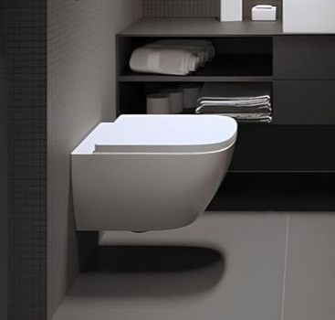toilet cropped